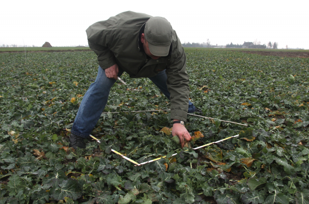 Dopłaty do ubezpieczeń rolnych w 2026 roku. Ile wyniosą?