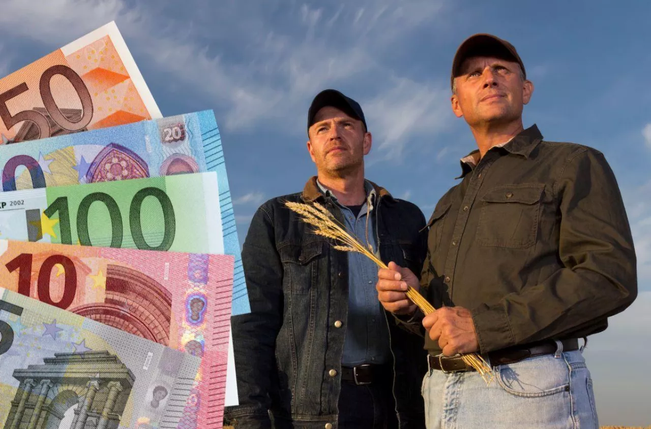 Dopłaty bezpośrednie 2025: znamy kurs euro. Ile pieniędzy dostaną rolnicy?