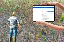 rolnik stoi tyłem i patrzy na pole z wyschniętymi uprawami, po prawej dłonie trzymają tablet, na którym widoczna jest otwarta strona logowania do aplikacji suszowej