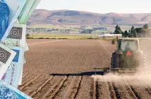 Gdzie dzierżawa ziemi jest najdroższa? Rolnicy płacą nawet 2400 zł za hektar