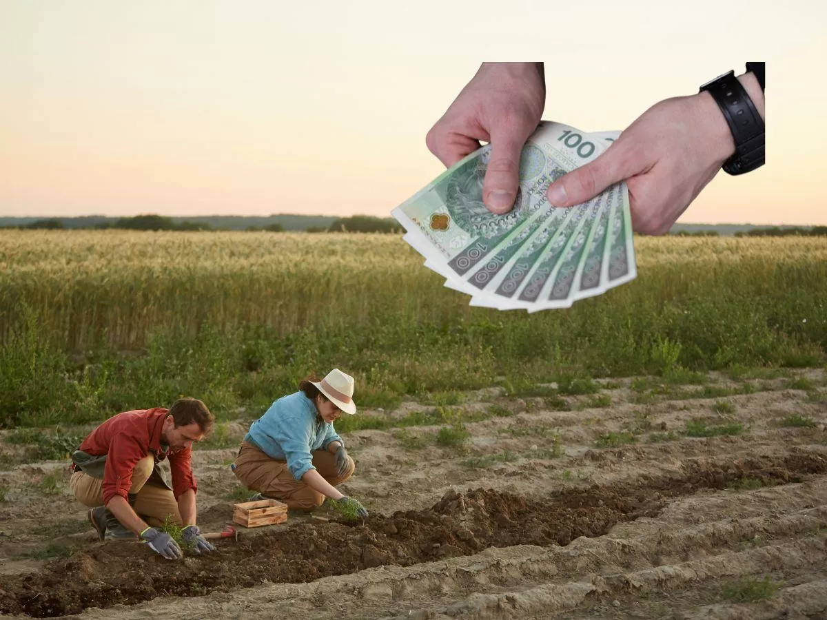 Rolnicy wykiwani na dochodzie. Czy ARiMR zmieni zasady gry?