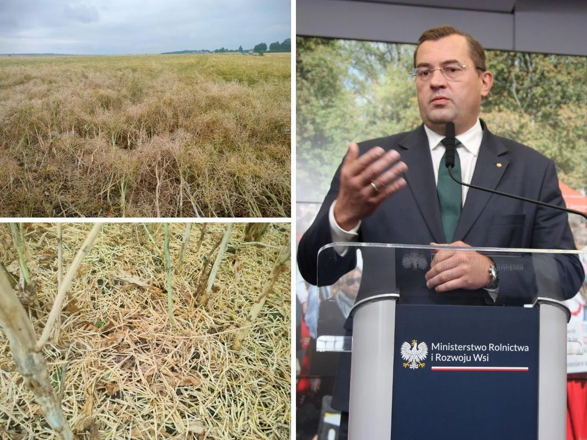 Nawet 3000 zł do hektara. Rusza nowa pomoc dla rolników [STAWKI i TERMINY]