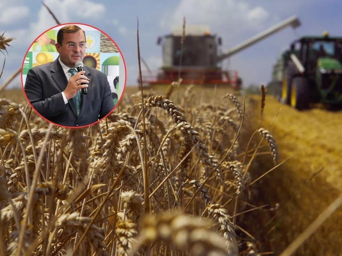 Dopłaty bezpośrednie 2025. Ministerstwo ogłosiło STAWKI