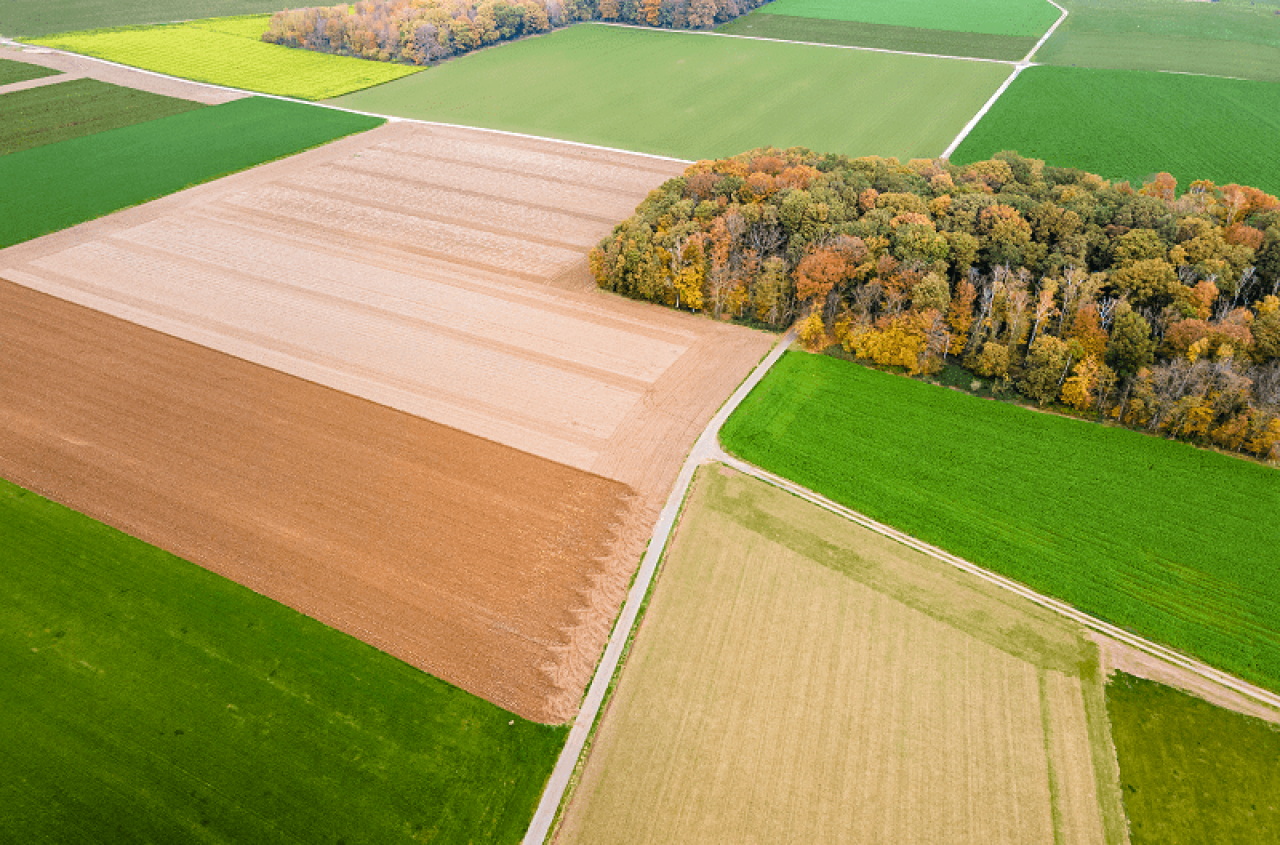 Ubezpieczenia upraw na jesień 2025. Jakie pakiety wybrać i na co uważać?