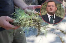 Pomoc dla rolników, Żuławy