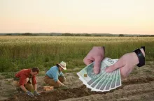 Rolnicy wykiwani na dochodzie. Czy ARiMR zmieni zasady gry?