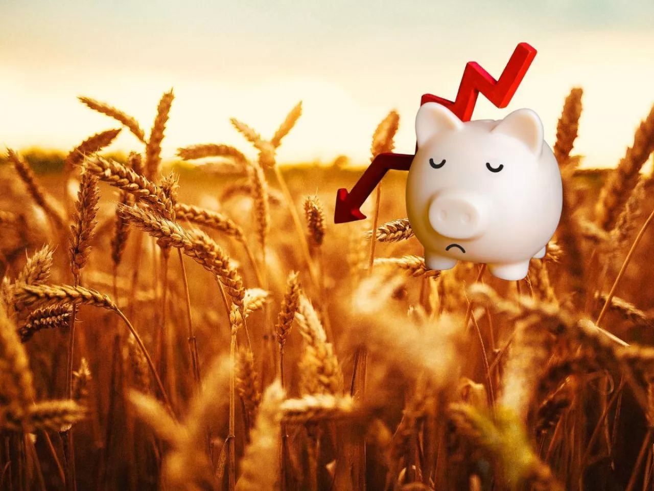 Rolnik widzi kryzys, statystyka poprawę