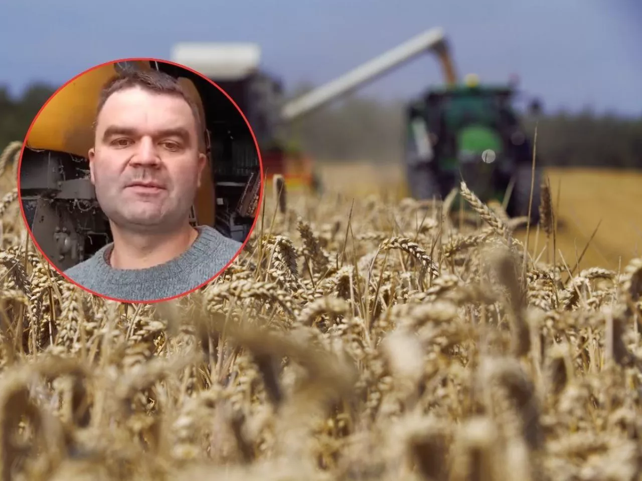 Rolnicy chcą walczyć o wyższe ceny zbóż i rzepaku