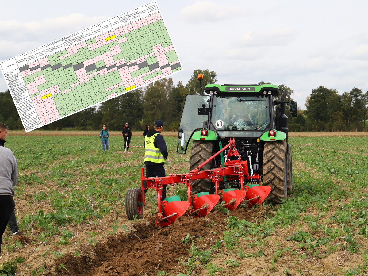 Ekoschematy 2025. Zobacz, które dają największe dopłaty na hektar [STAWKI]