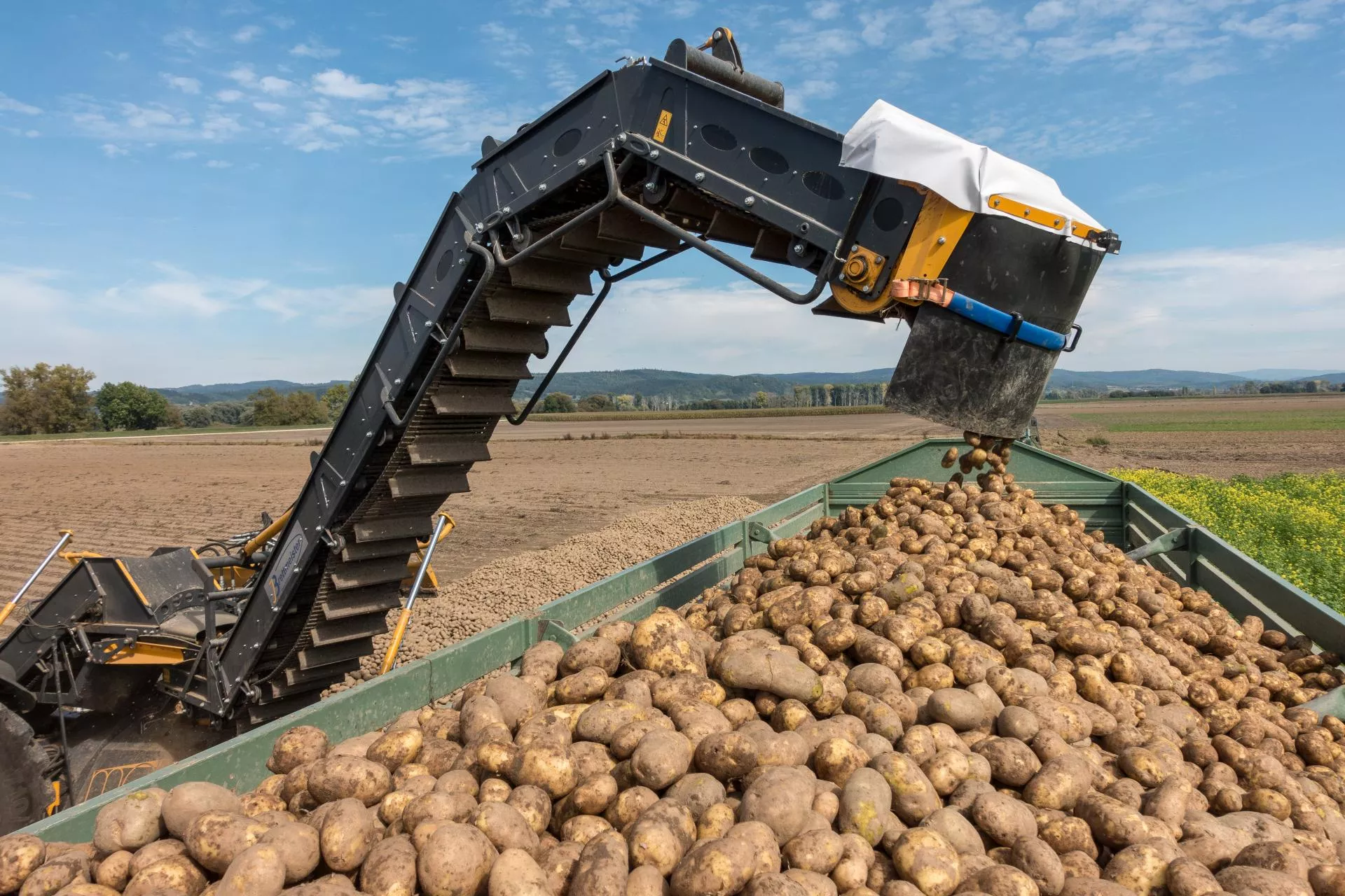 Rolnicy chcą dopłat do ziemniaków. Minister: priorytetem jest armia