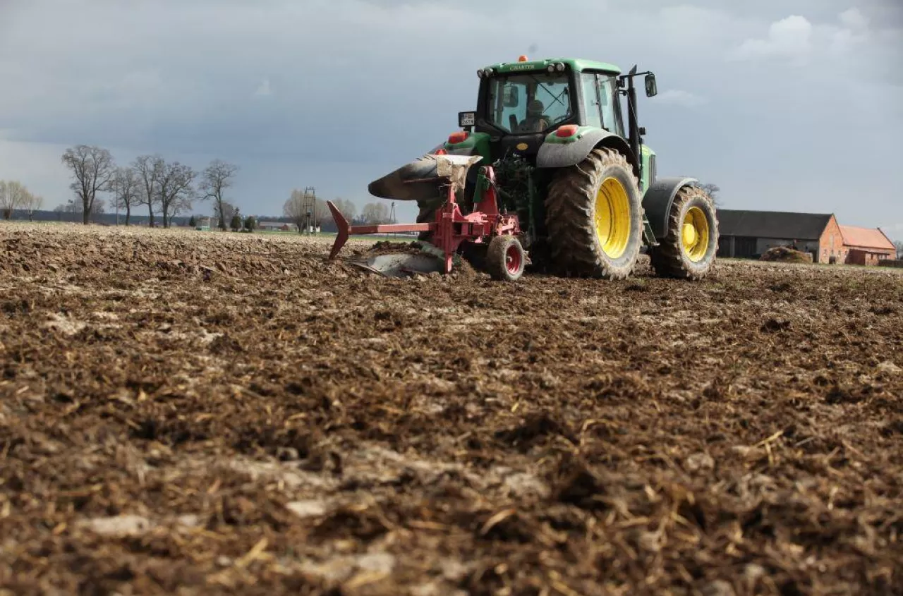 Ekoschematy 2025: znamy stawki dopłat do rolnictwa węglowego. Ile za wymieszanie słomy i obornika?