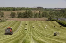 baloty na skoszonej łące