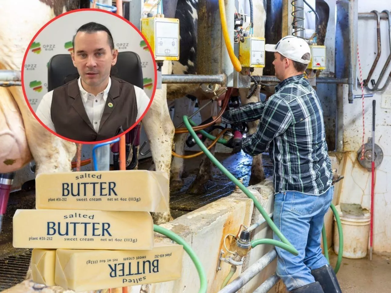 Kryzys na rynku mleka