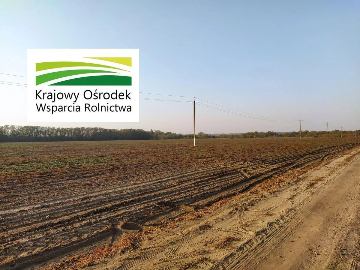 Rolnicy mogą oddać ziemię i dostać nowe grunty od KOWR. Sprawdź procedurę