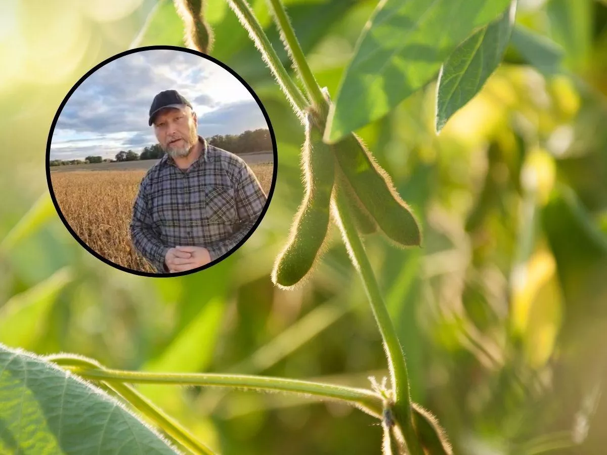 Jak poprawić ceny zbóż i zerwać z importem białka? Rolnicy mają plan