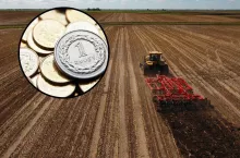 Dochód z hektara: wszyscy coś robią, a nic się nie zmienia