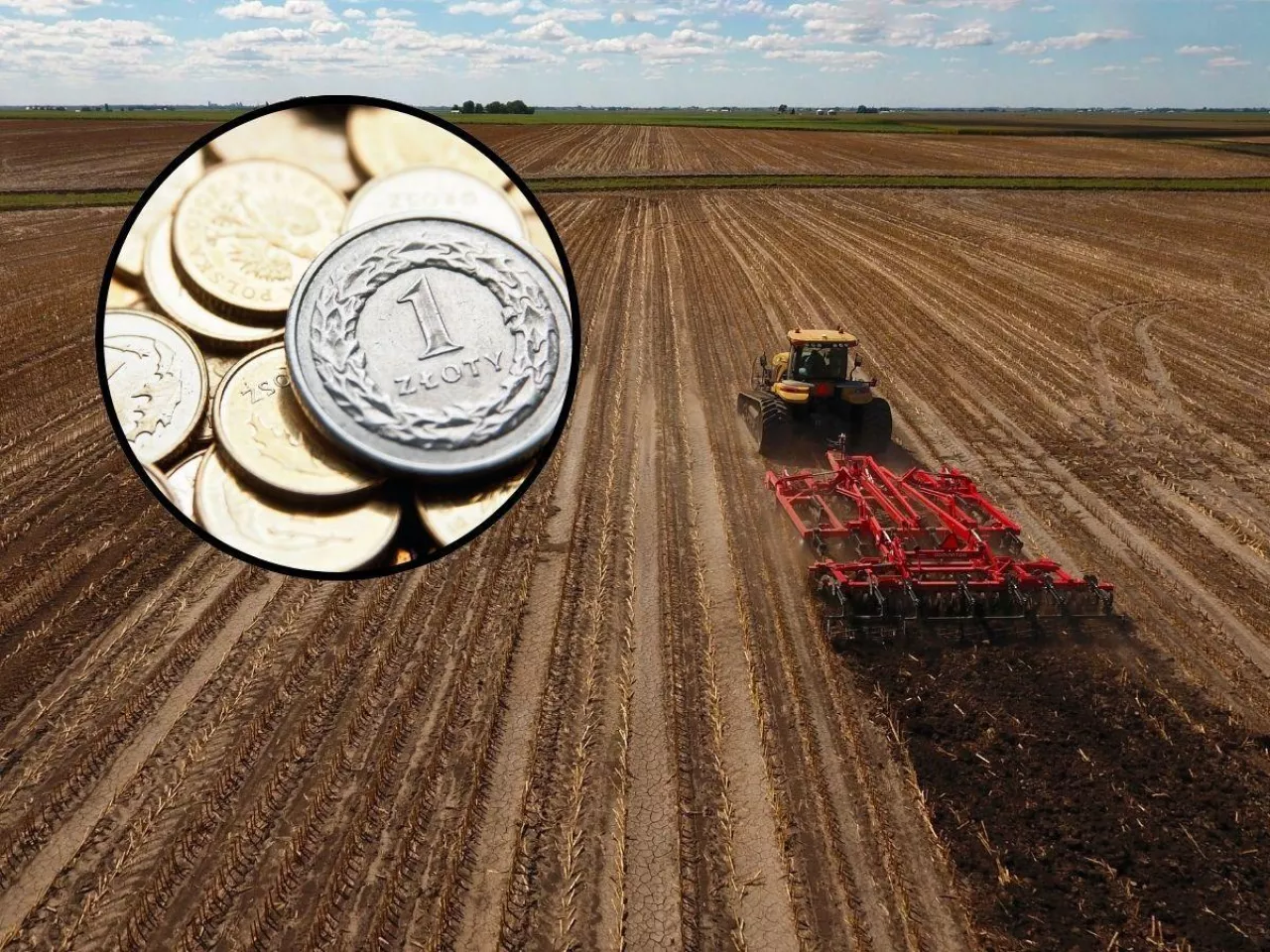 Dochód z hektara: wszyscy coś robią, a nic się nie zmienia