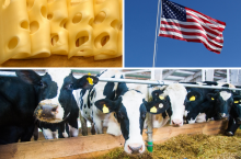 amerykańskie cła na eksport sera