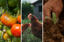 Rolnicy chcą być eko, ale państwo im to utrudnia?