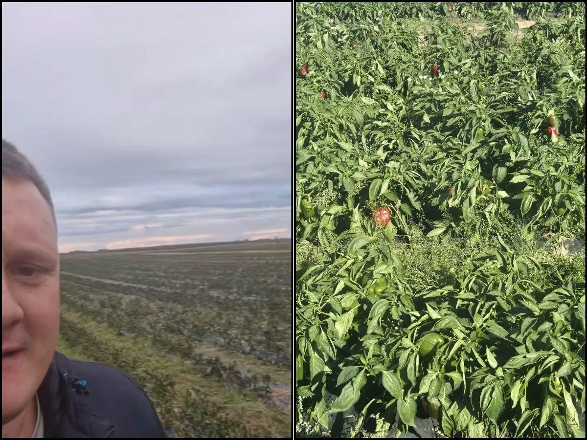 Dobro wraca. Rolnik oddał pieniądze, by pomóc chorej kobiecie