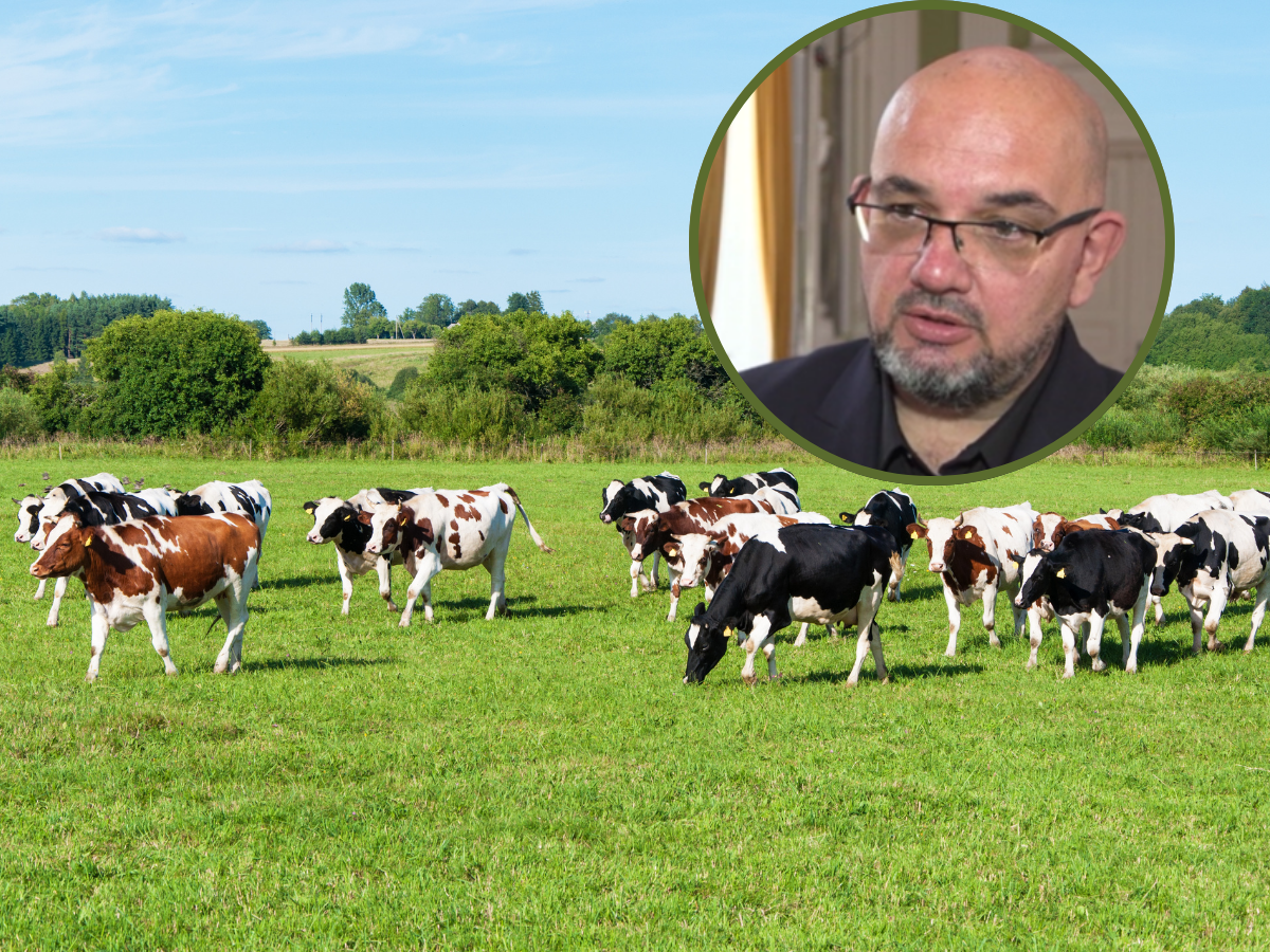 Polskie mleczarnie się łączą. Ekspert ostrzega przed tym, co może nadejść