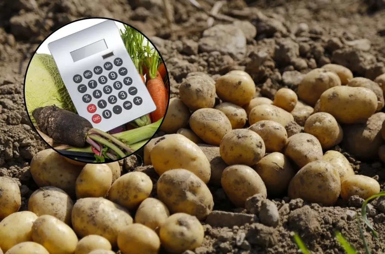 Za dużo ziemniaków? Rolnicy ostrzegają: za chwilę może ich zabraknąć