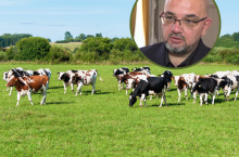 Polskie mleczarnie się łączą. Ekspert ostrzega przed tym, co może nadejść