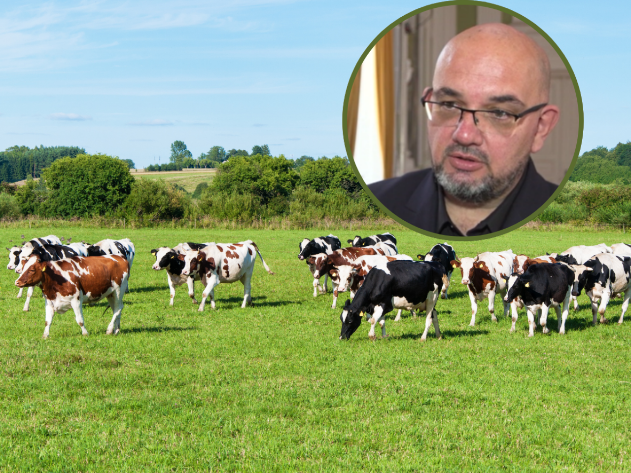 Polskie mleczarnie się łączą. Ekspert ostrzega przed tym, co może nadejść