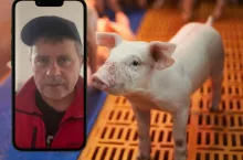 Ceny mleka spadną? Sprawdź, co czeka rolników w najbliższych miesiącach [PROGNOZA]