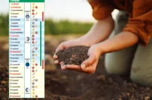 Kalendarz biodynamiczny na listopad 2025: co siać, zbierać i co zabezpieczyć przed zimą?