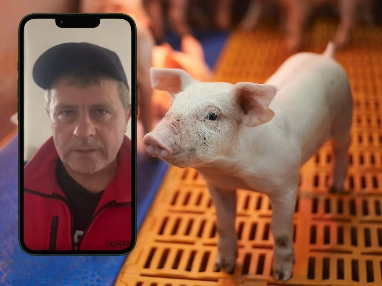 Ceny mleka spadną? Sprawdź, co czeka rolników w najbliższych miesiącach [PROGNOZA]