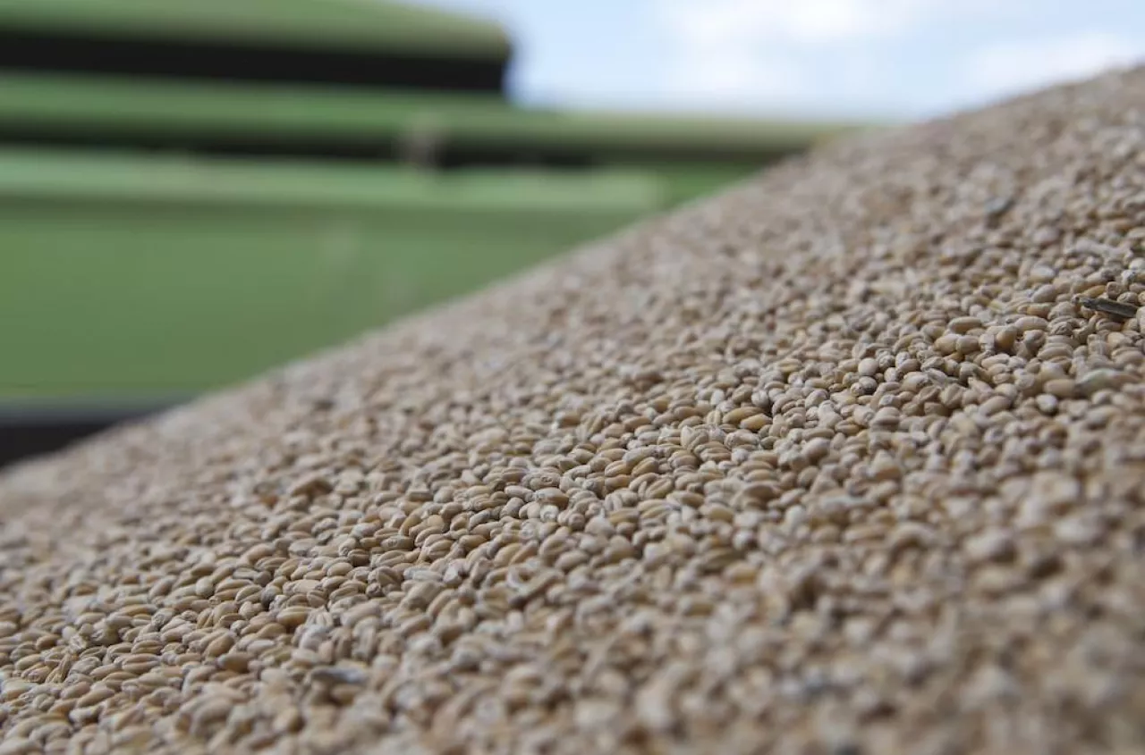 Czy będzie system kaucyjny na produkty rolne z Ukrainy?