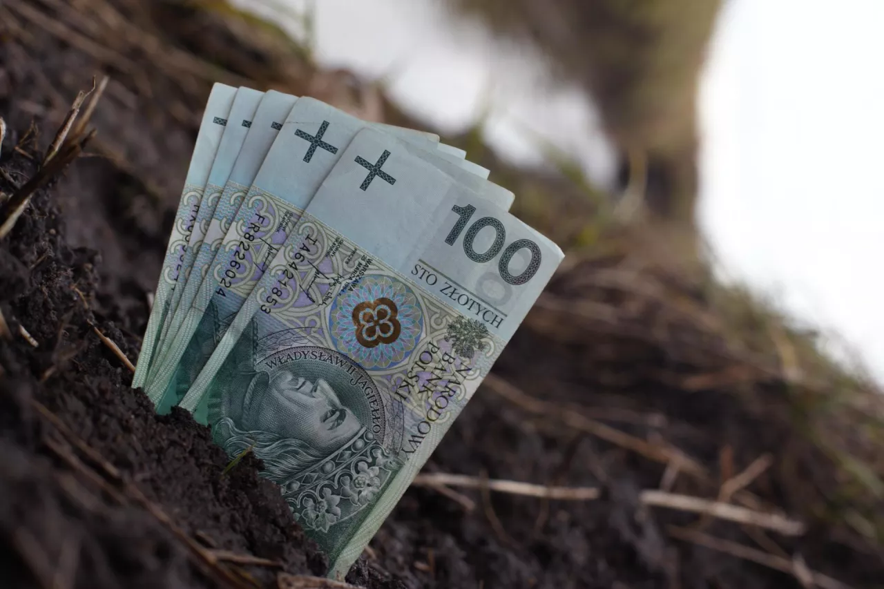 pieniadze, stawki dopłat