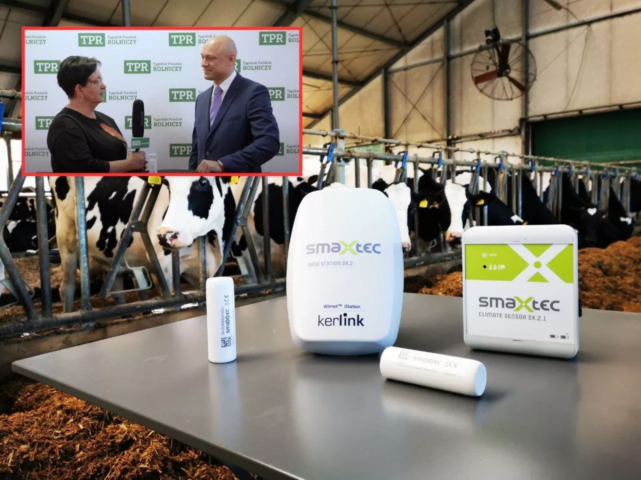 Naturalne dodatki i cyfrowe technologie. Przyszłość hodowli bydła z Phytobiotics i Smaxtec