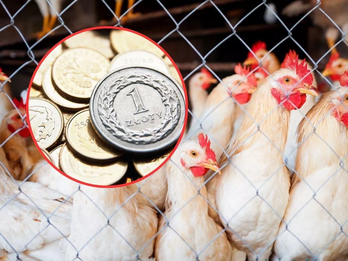 Ruszył nabór w ARiMR. 120 mln zł dla poszkodowanych rolników