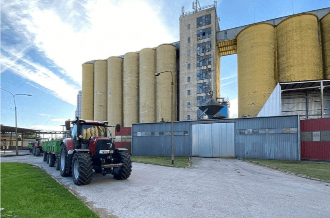 Ile płacą za zboże i rzepak w skupach? Sprawdziliśmy aktualne ceny [SONDA]