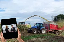 Jak wybrać najlepszą kukurydzę na kiszonkę? Porady eksperta