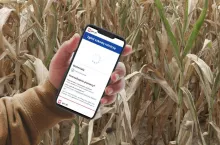 Pomoc suszowa 2025: ruszyła aplikacja suszowa. Można składać wnioski