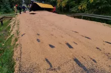 Tony pszenicy wysypane na drodze po wypadku samochodu ciężarowego