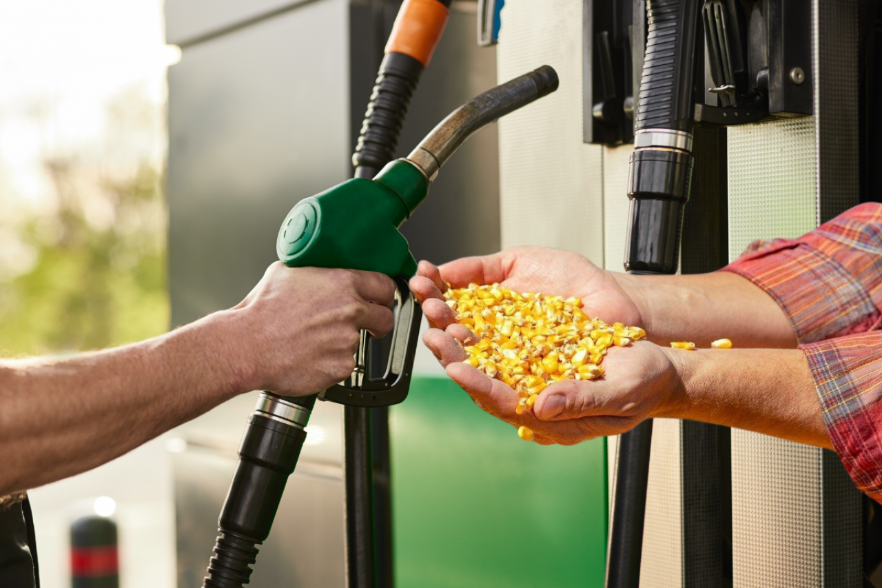 Rolnicy mają pomysł jak zdjąć 5 mln ton zbóż z rynku. ”To szansa na ustabilizowanie cen”