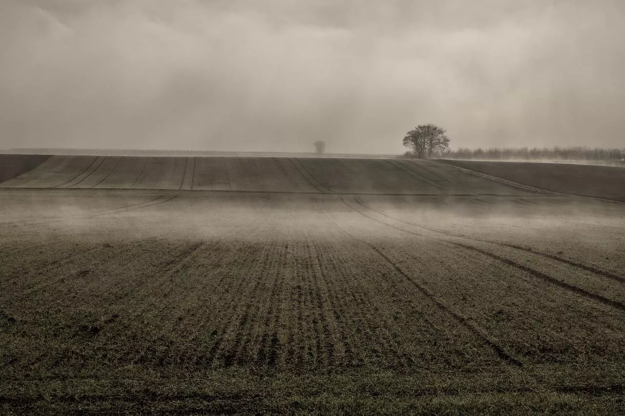 ziemia rolna o poranku, gdy unosi się mgła nad polem