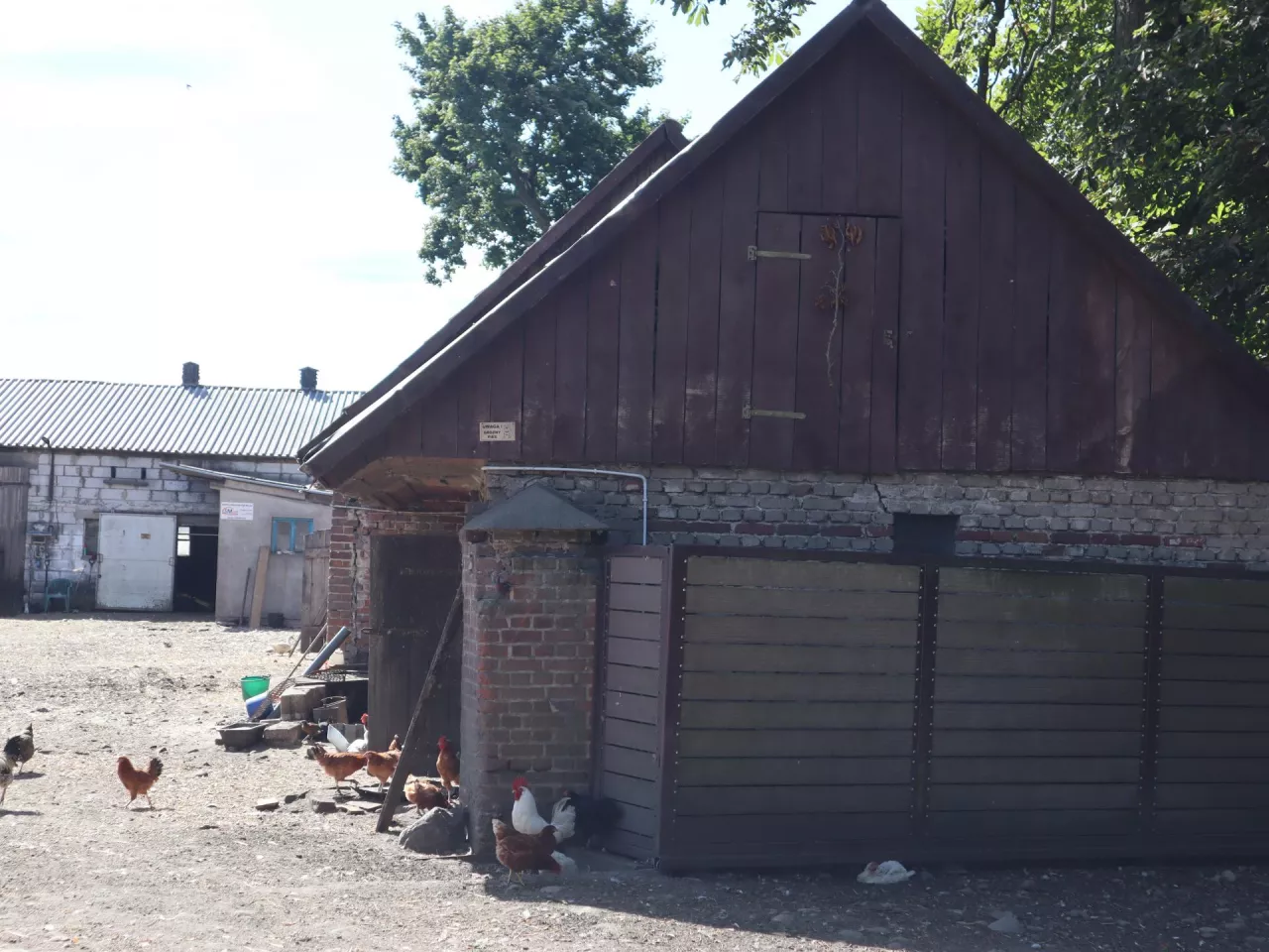 małe gospodarstwo rolne