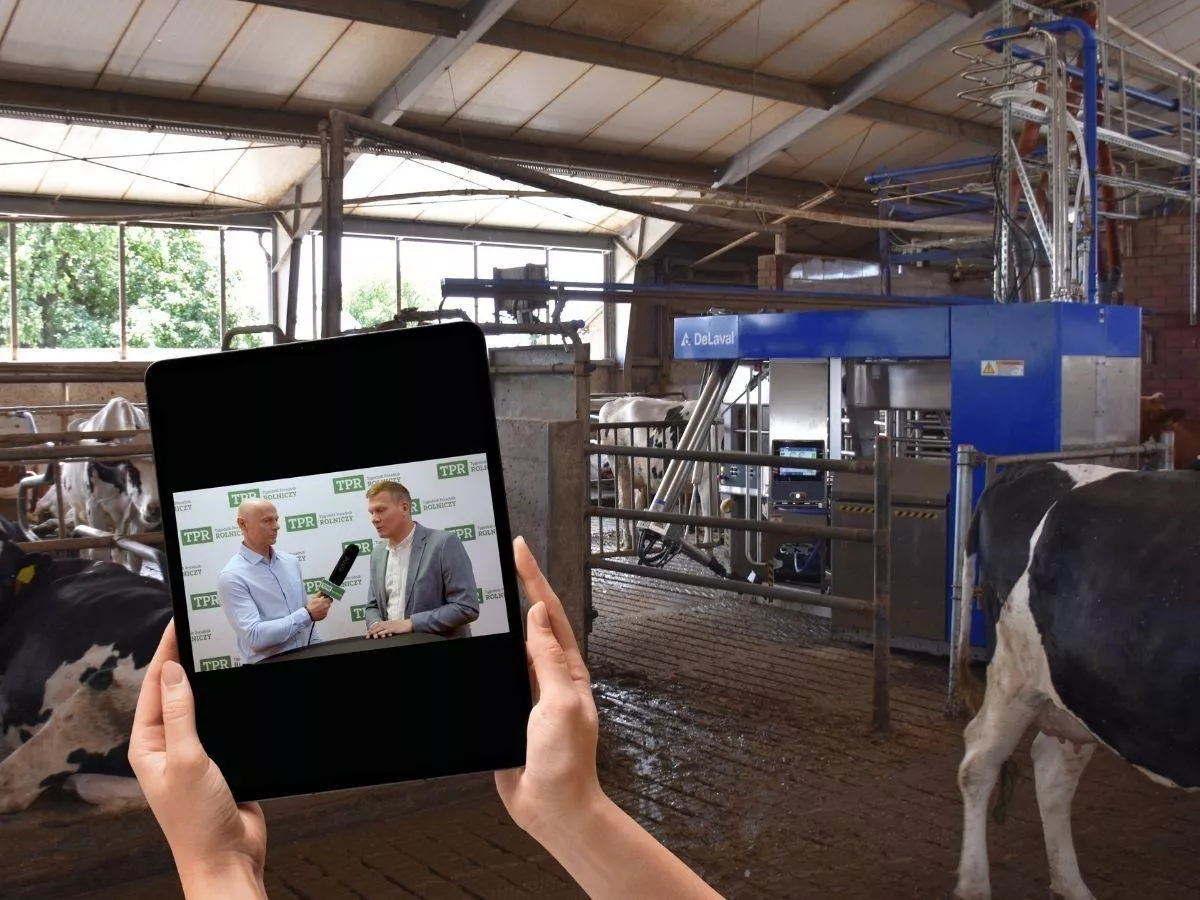 Dwa roboty udojowe i cztery pokosy rocznie. Tak sobie radzi rolnik z Gajewa