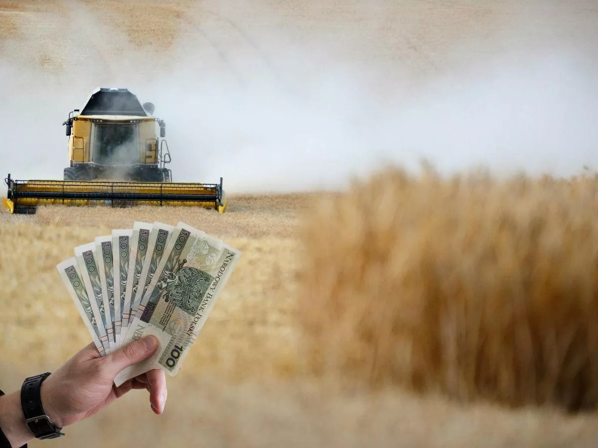 Cios dla rolników. Ministerstwo rolnictwa nie wystąpi do KE w sprawie cen zbóż