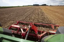 Wprowadzenie materii organicznej do gleby, w tym pozostawienie słomy będzie punktowane w ramach ekoschematu Rolnictwo węglowe. 