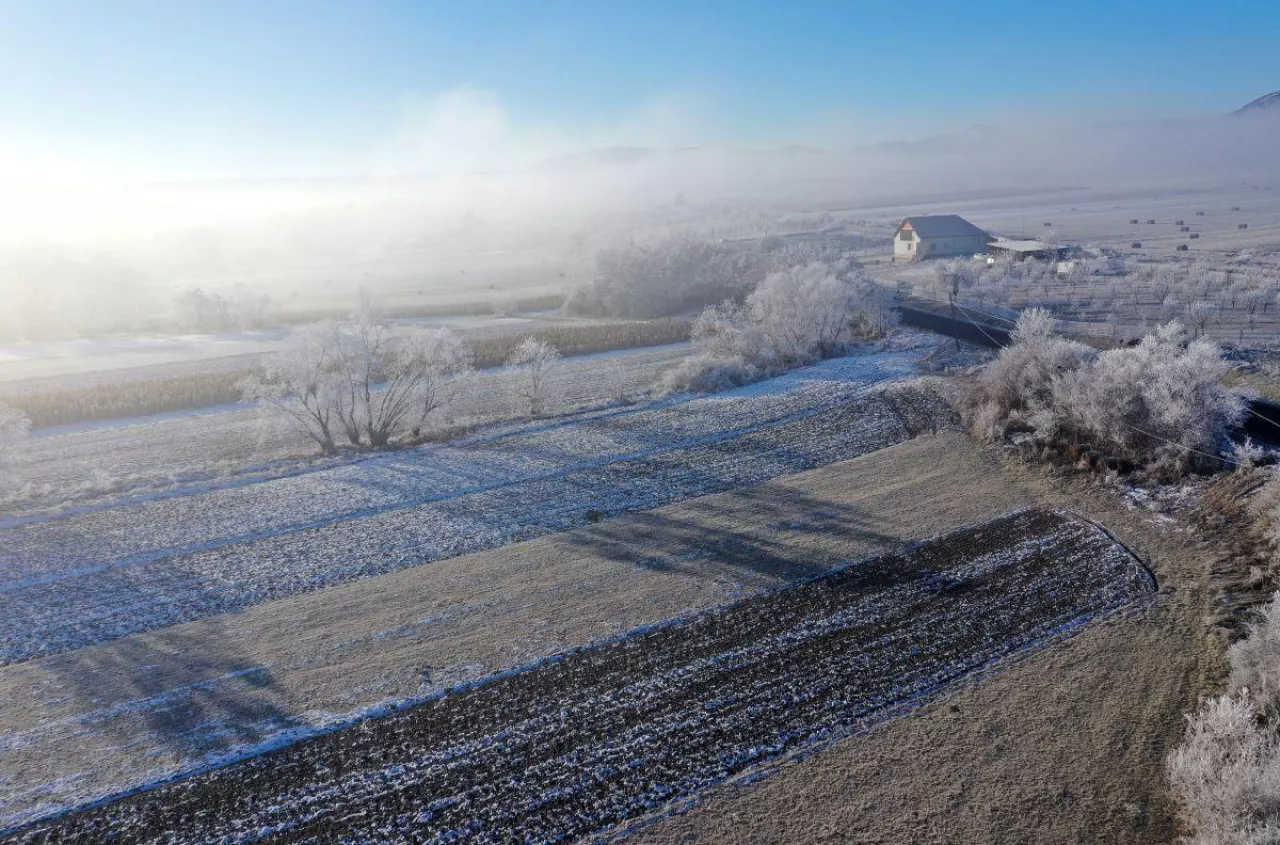 Pomidory przepadły w jedną noc. Teraz rolnicy chcą, by rząd zmienił prawo