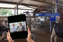 7 lat automatycznego doju. Rolnik rozwija produkcję mleka