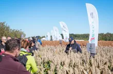 Dzień Sorgo RAGT w Tominach już na stałe wpisał się w kalendarz.
Kolejne spotkanie za rok