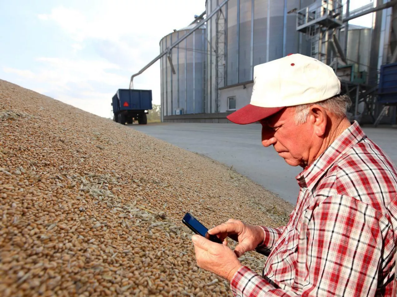 Rolnik patrzący w telefon stojący w skupie zbóż