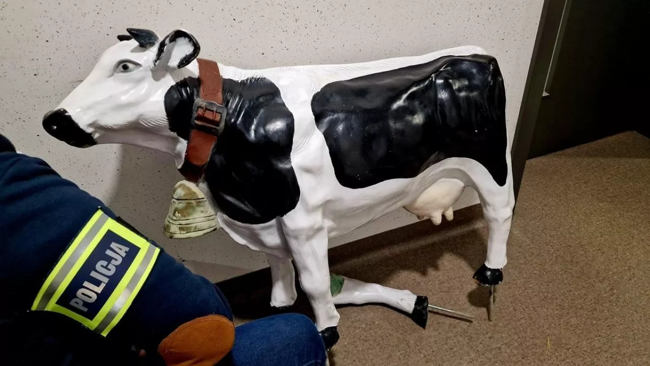 Plastikowa krowa oparta o ścianę na policyjnym korytarzu.